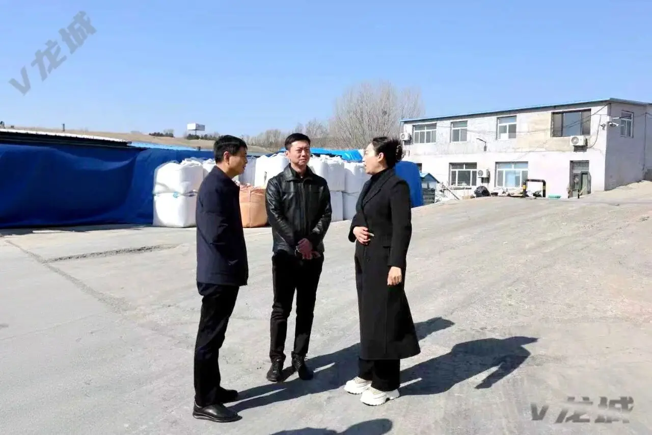 龙城区领导调研区跨境电商发展情况