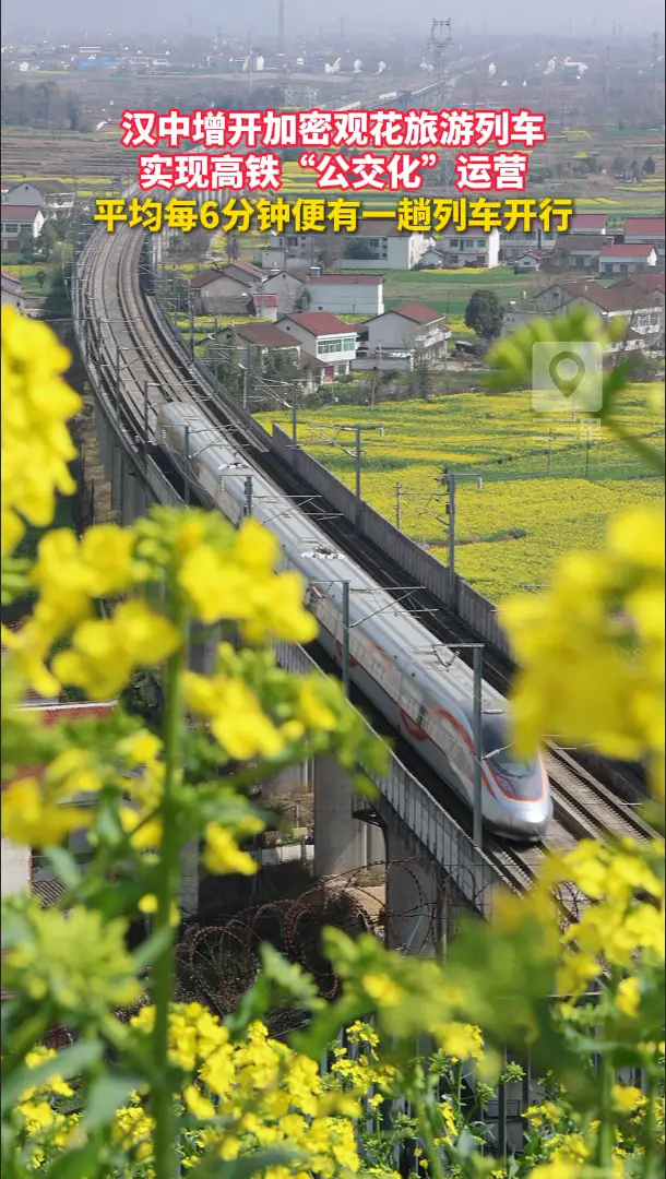 汉中增开加密观花旅游列车，实现高铁“公交化”运营