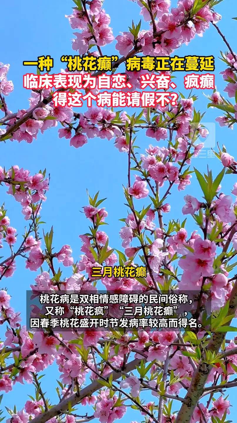 一种“桃花癫”病毒正在蔓延......