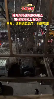 追星天花板！吉林网友家狗狗楼上围观白敬亭拍戏