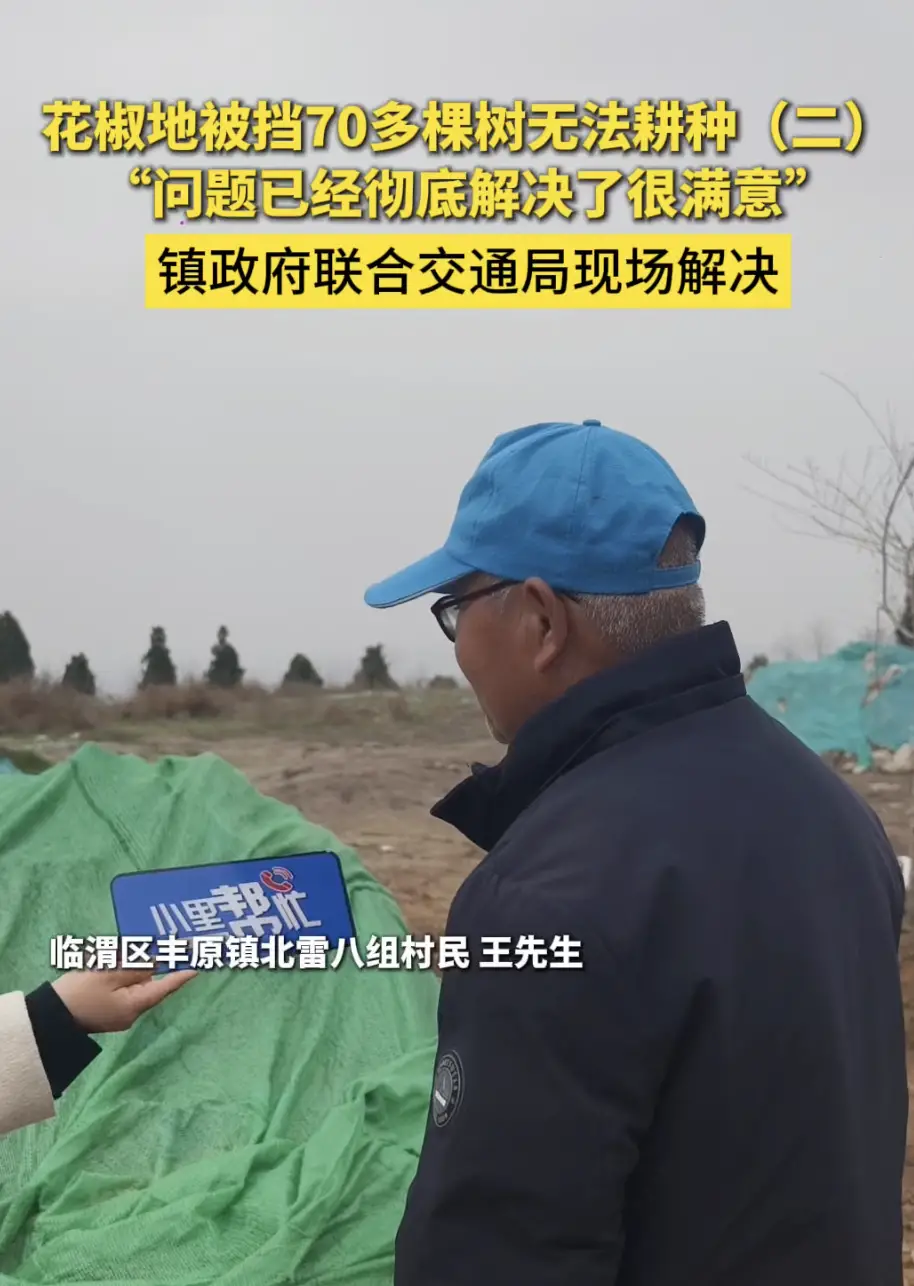 花椒地被挡70多棵树无法耕种(二)，镇政府联合交通局现场解决