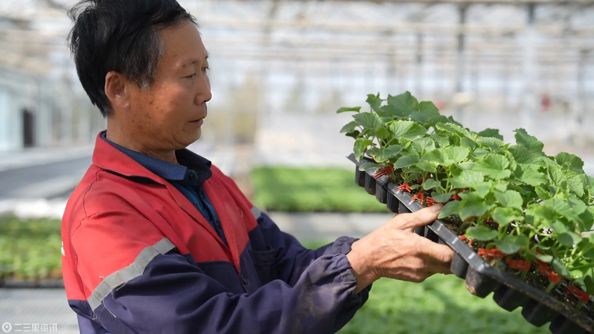 人勤春来早，万象始“耕”新，神木市春季农业生产已全面铺开