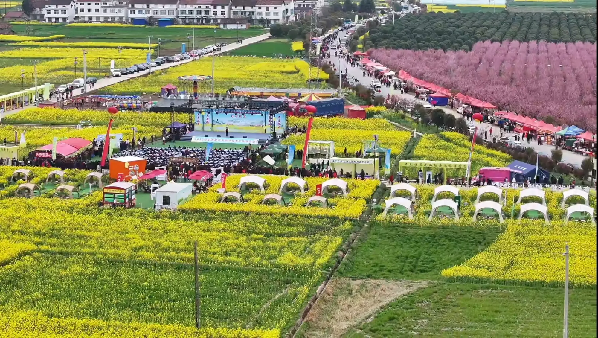 2026最美油菜花海勉县春季文化旅游季活动启动