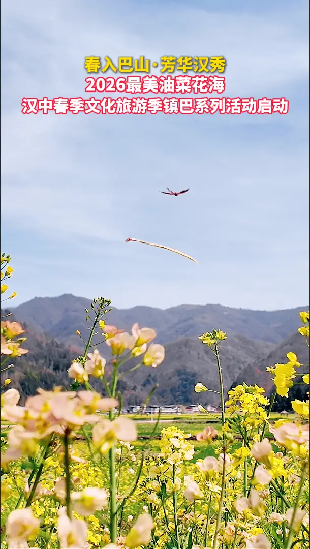 2026最美油菜花海汉中春季文化旅游季镇巴县系列活动启动