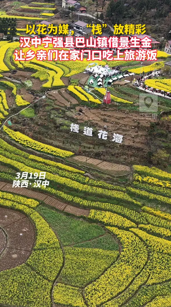 以花为媒，“栈”放精彩！汉中宁强县巴山镇借景生金，让乡亲们在家门口吃上旅游饭