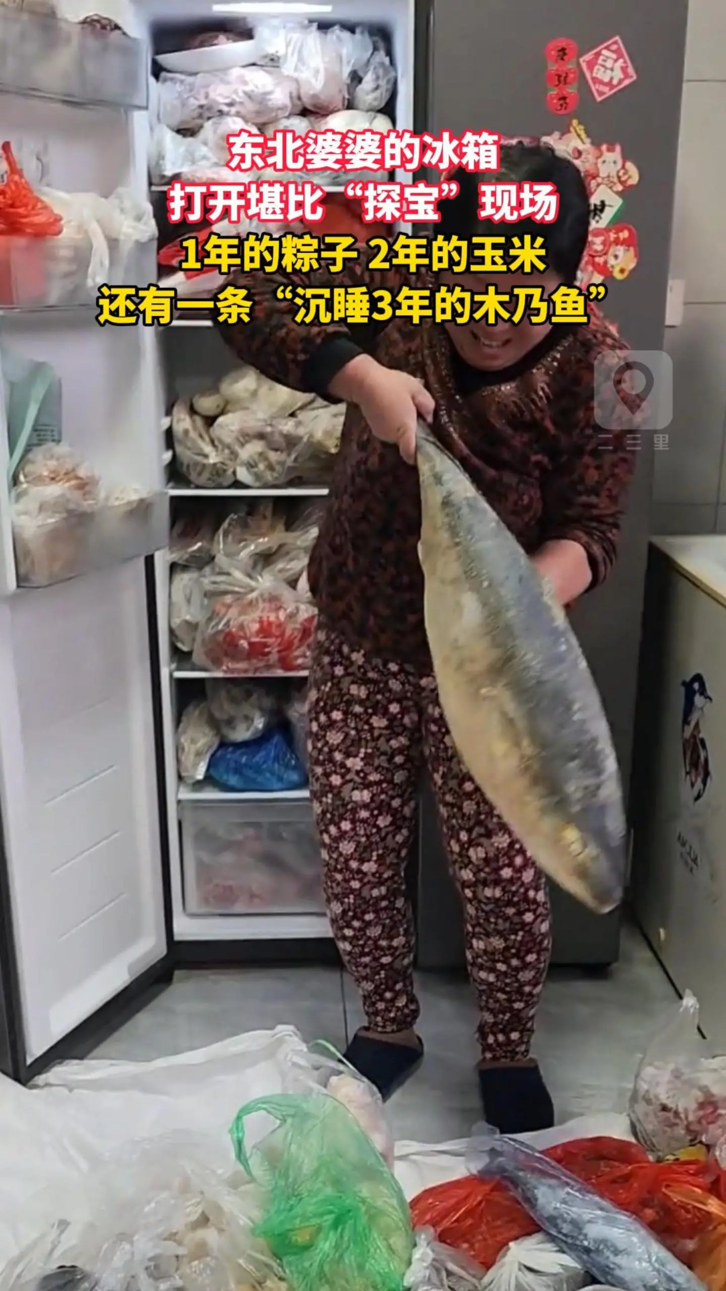 东北婆婆的冰箱 打开堪比“探宝”现场 1年的粽子 2年的玉米 还有一条“沉睡3年的木乃鱼”