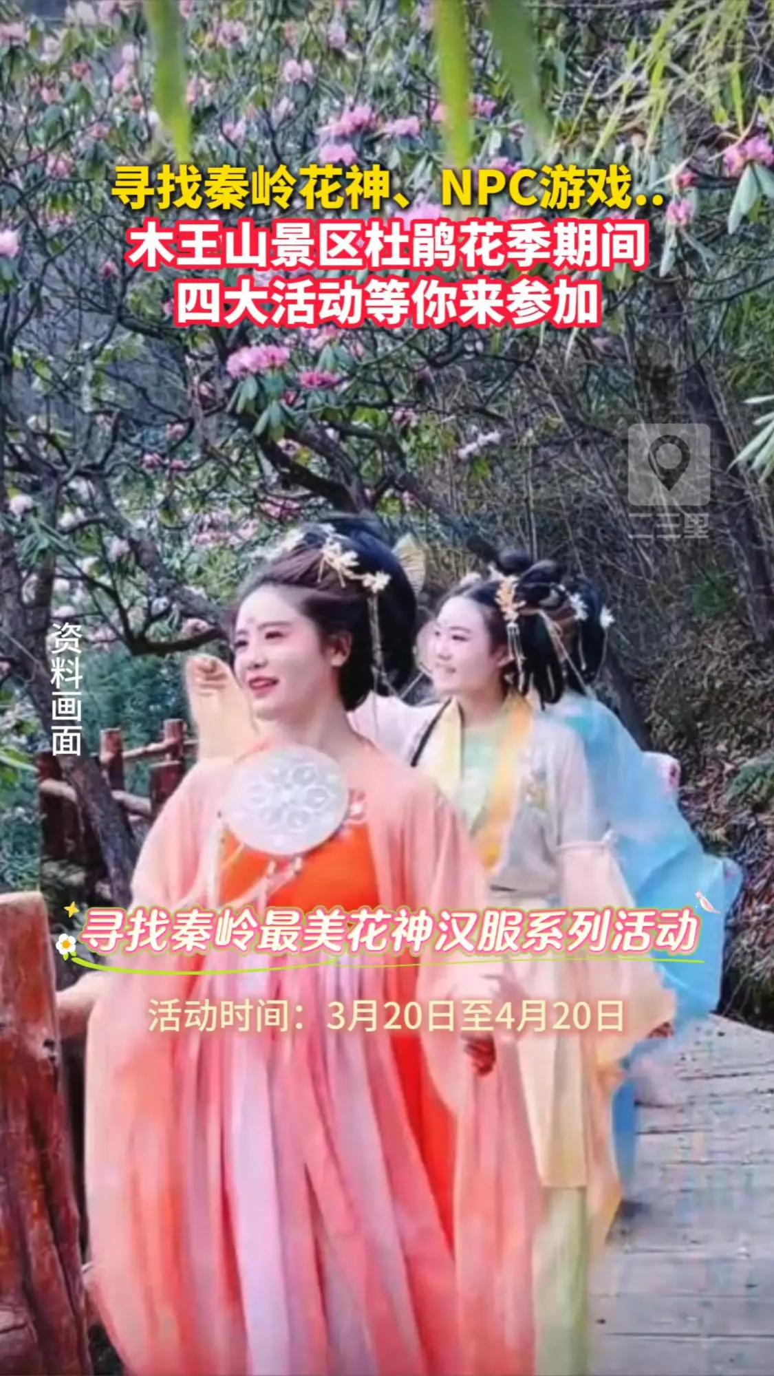 木王山景区2026年杜鹃花季期间，寻找秦岭最美花神、NPC游戏互动等活动等你来