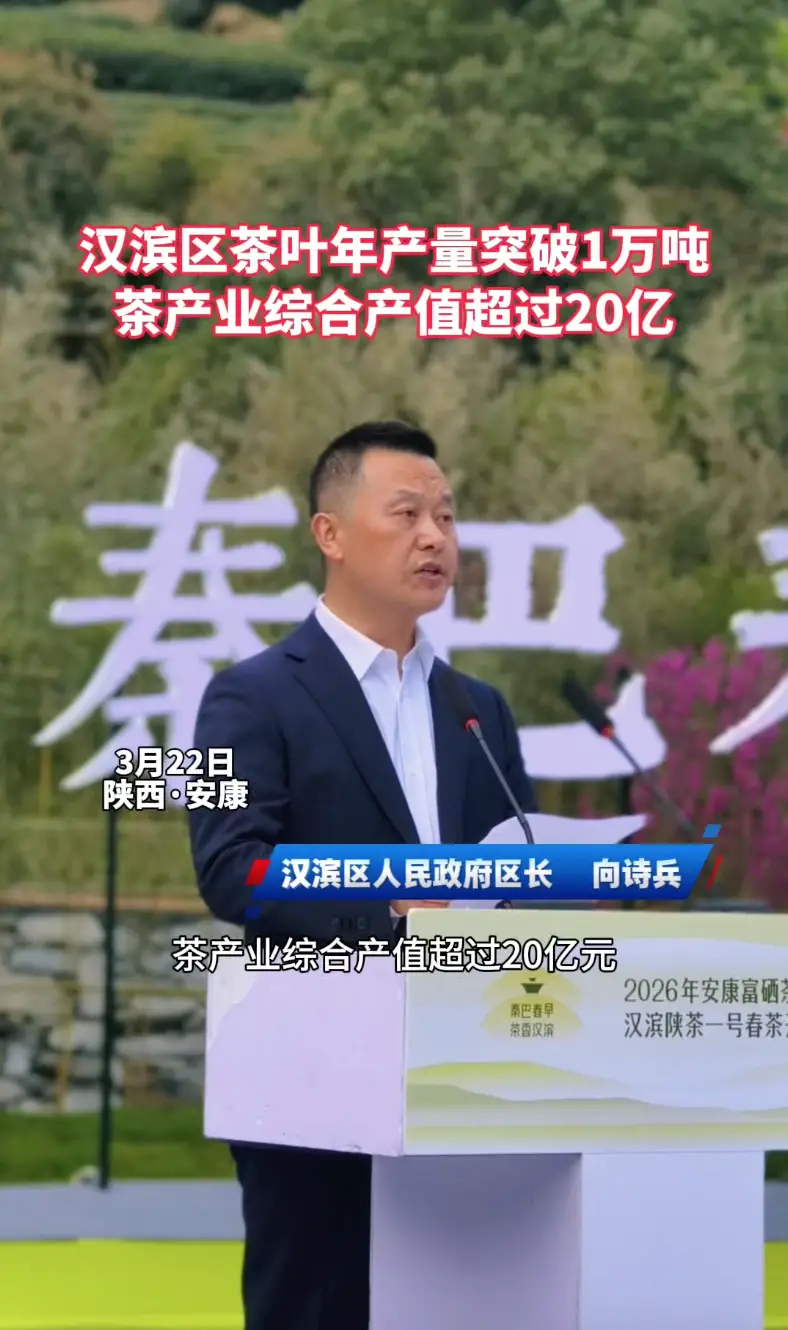 汉滨茶叶年产量突破1万吨，茶产业综合产值超20亿