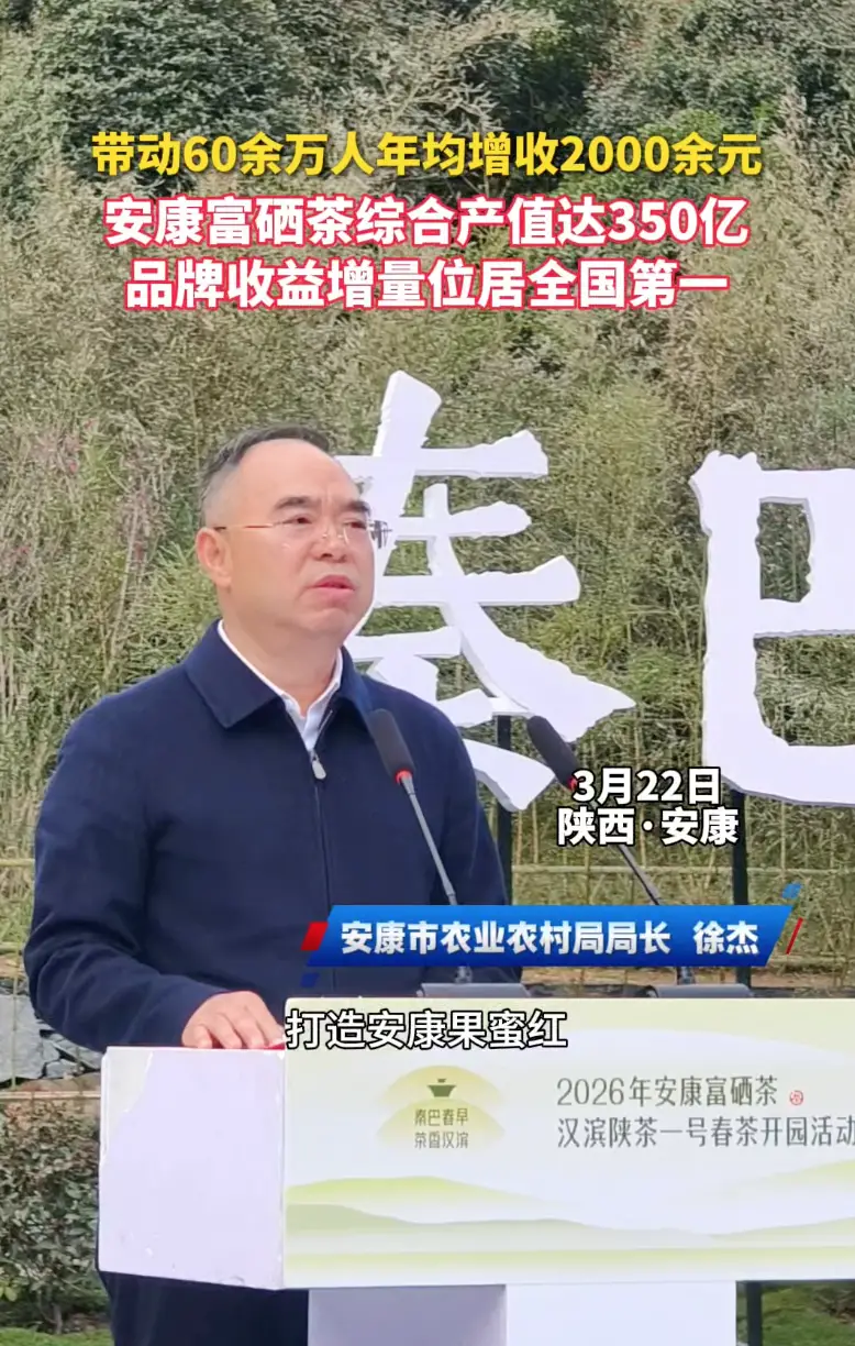 安康富硒茶综合产值达350亿，品牌收益增量位居全国第一