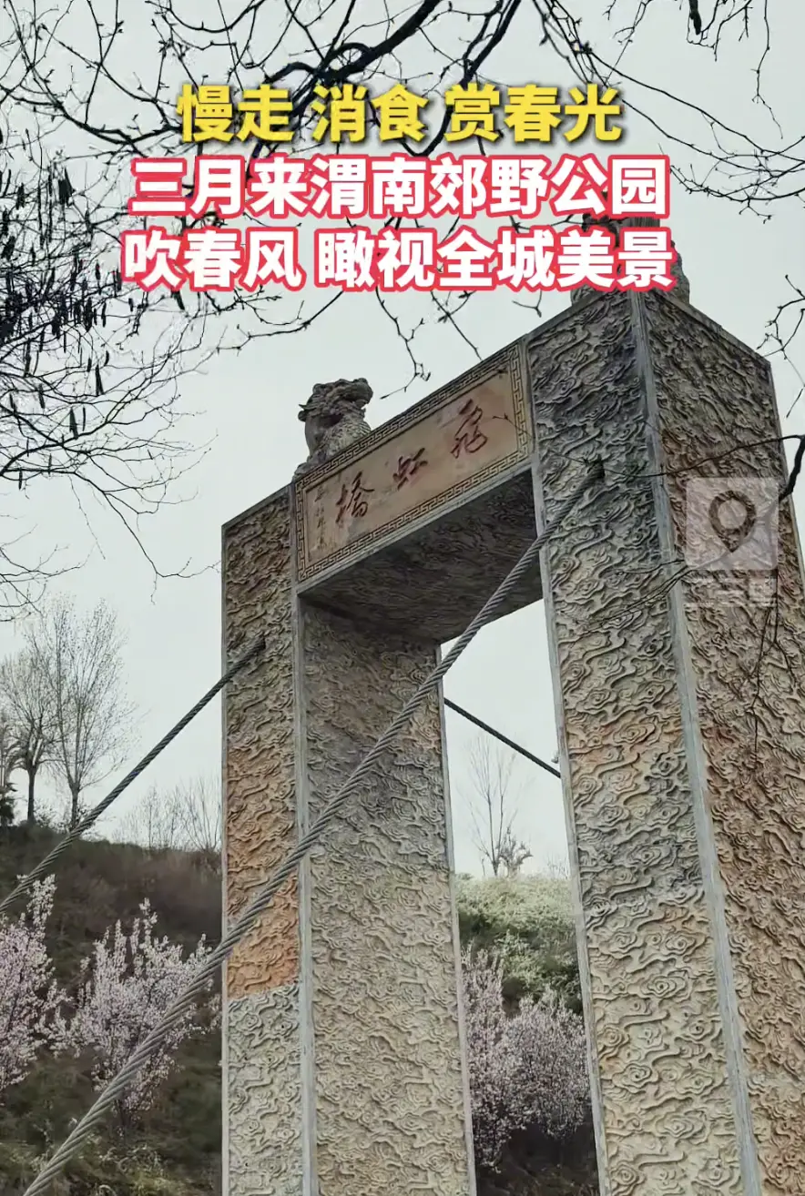 慢走 消食 赏春光，三月来渭南郊野公园，吹春风 瞰视全城美景
