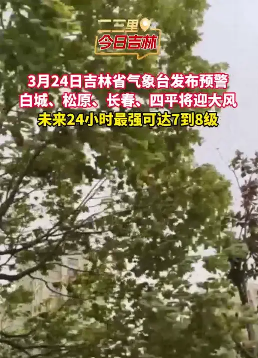 吉林大风蓝色预警！多地阵风7-8级，注意防风防火安全
