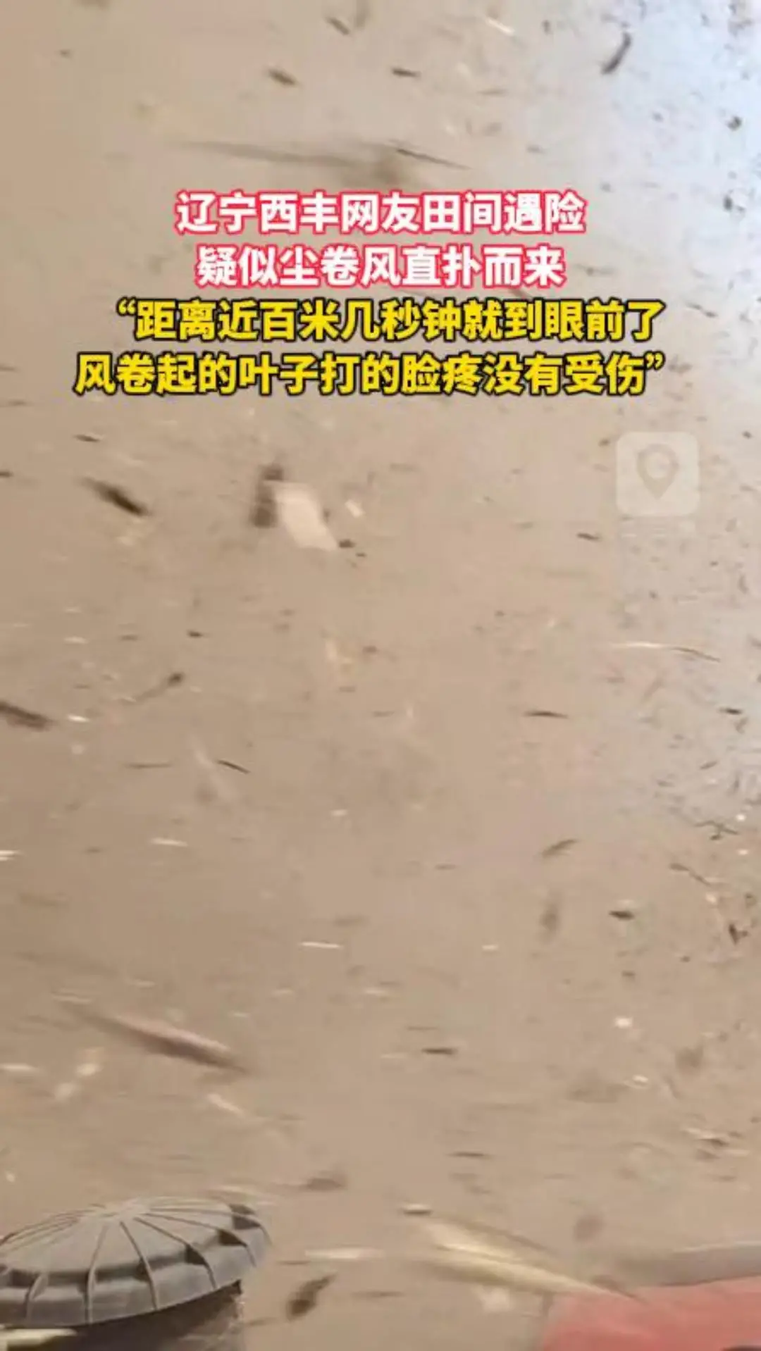 辽宁西丰网友田间遇险 疑似尘卷风直扑而来 “距离近百米几秒钟就到眼前了 风卷起的叶子打的脸疼没有受伤”