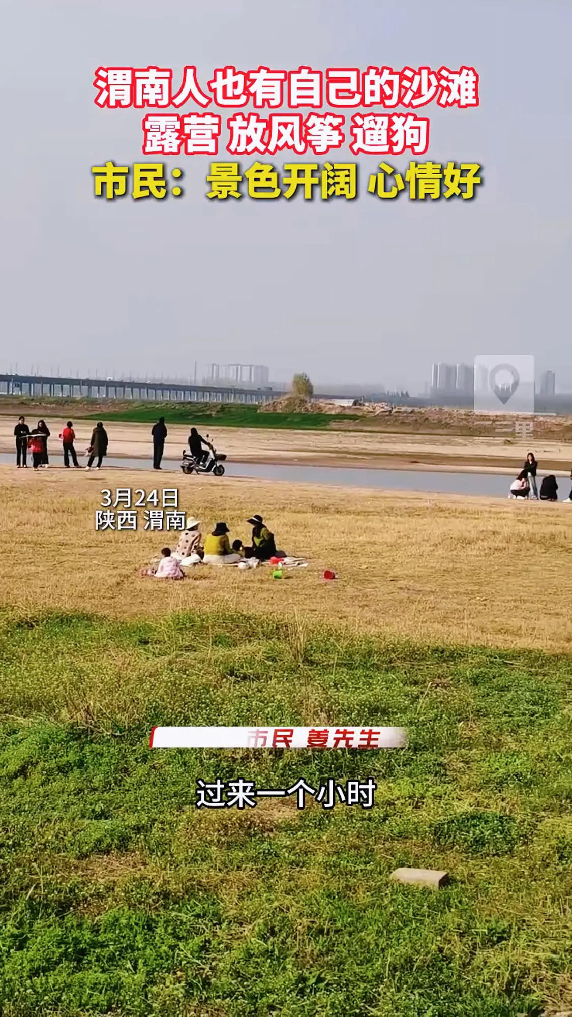 春日渭南渭河边太热闹了，遛狗、露营、放风筝人超级多