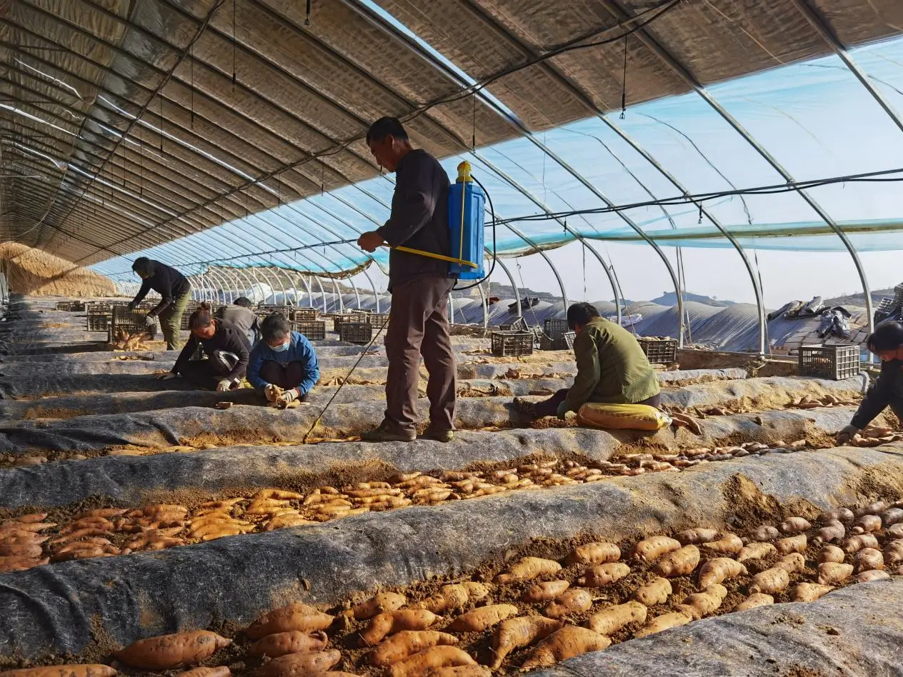 五年砥砺奋进路  黄土高原谱华章——绥德“十四五”高质量发展交出亮眼答卷绥德发布