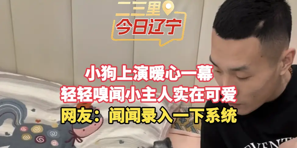小狗上演暖心一幕 轻轻嗅闻小主人实在可爱 网友：闻闻录入一下系统