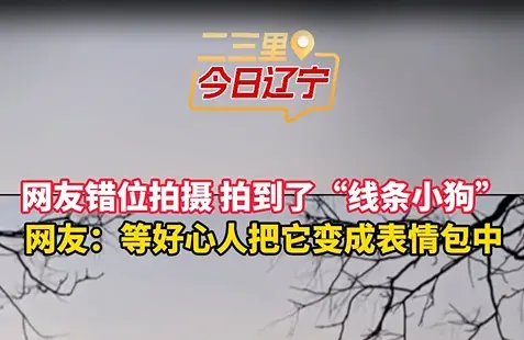 网友错位拍摄 拍到了“线条小狗” 网友：等好心人把它变成起表情包中