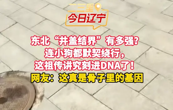 东北“井盖结界”有多强？ 连小狗都默契绕行， 这祖传讲究刻进DNA了！ 网友：这真是骨子里的基因
