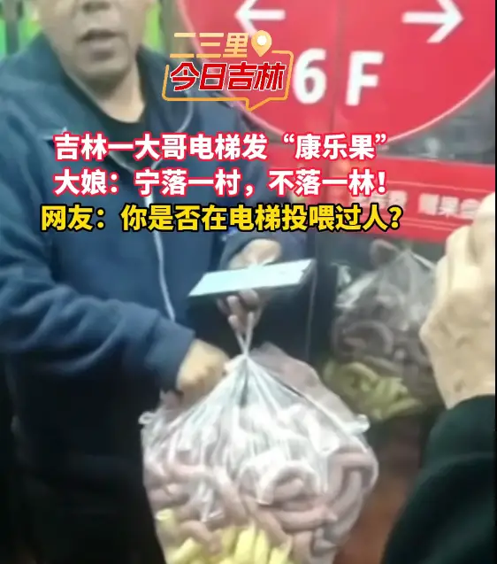 东北大哥电梯分康乐果，“宁落一村不落一林”