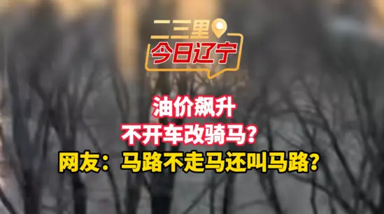 油价飙升 不开车改骑马？ 网友：马路不走马还叫马路？