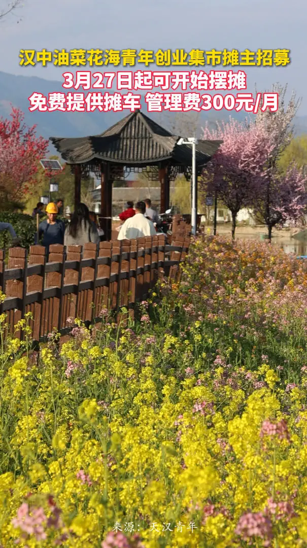 汉中油菜花海青年创业集市摊主招募，3月27日起可开始摆摊