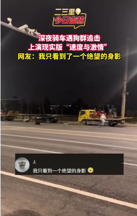 狗群深夜“接管”马路，骑车小哥极限走位避锋芒，主打一个生死时速