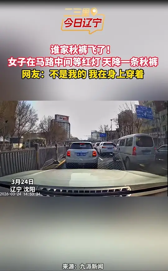 谁家秋裤飞了！ 女子在马路中间等红灯 天降一条秋裤 网友：不是我的 我在身上穿着