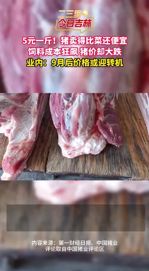 猪价低至 5 元一斤，养殖成本高企，业内预判 9 月或将涨价回暖