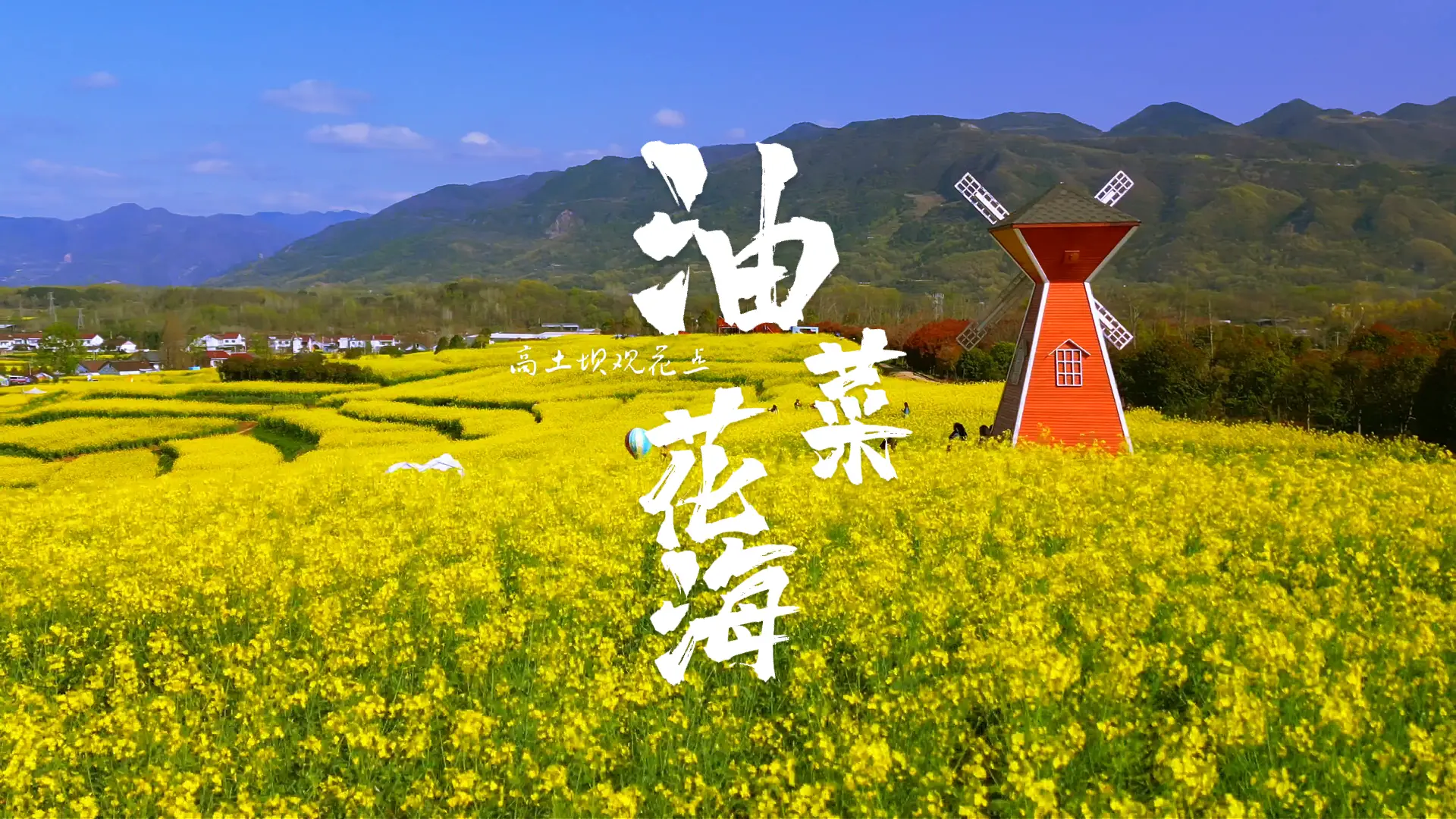 西乡县杨河镇高土坝观花点迎来最佳赏花期