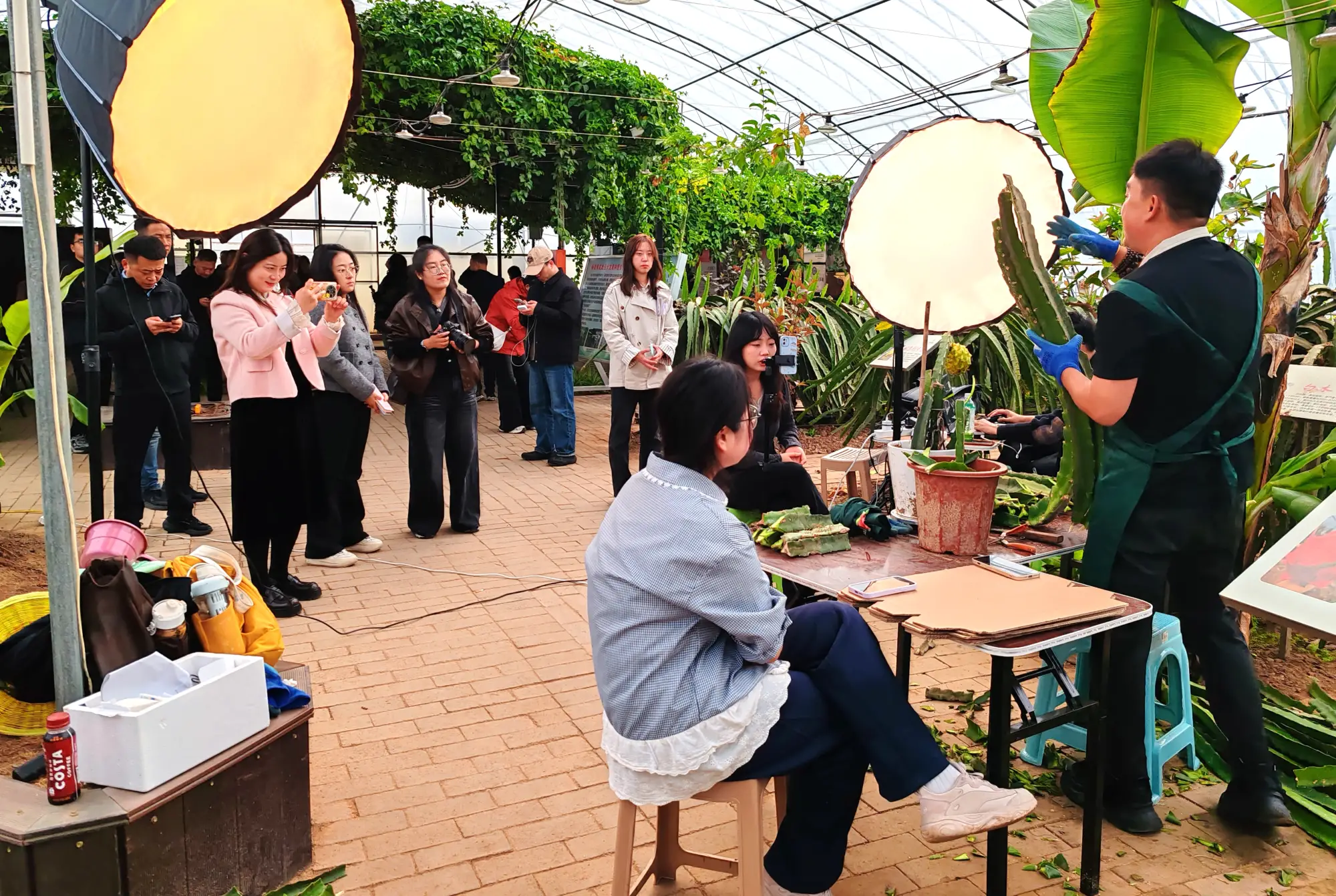 “南果北种”的核心突破源自杨凌自主育种的硬核实力 | 科技春耕看杨凌