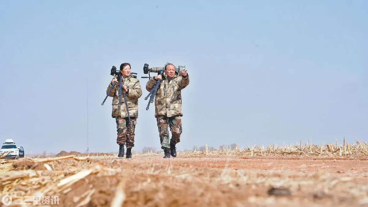 追鸟十三载 拍照百万张：榆林摄影伉俪见证榆林生态蝶变