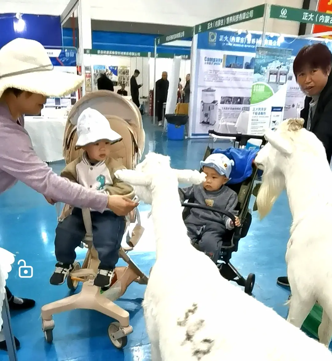 第九届畜博会开幕 会期三天 26个省（区、市）300余家企业参展参会