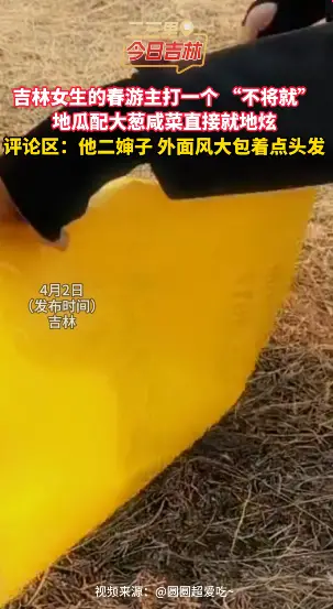 吉林女生春游不整虚的，地瓜大葱咸菜田间就地开炫