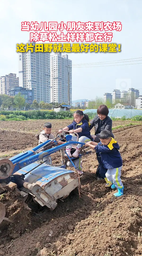 当幼儿园小朋友来到农场，除草松土样样都在行！