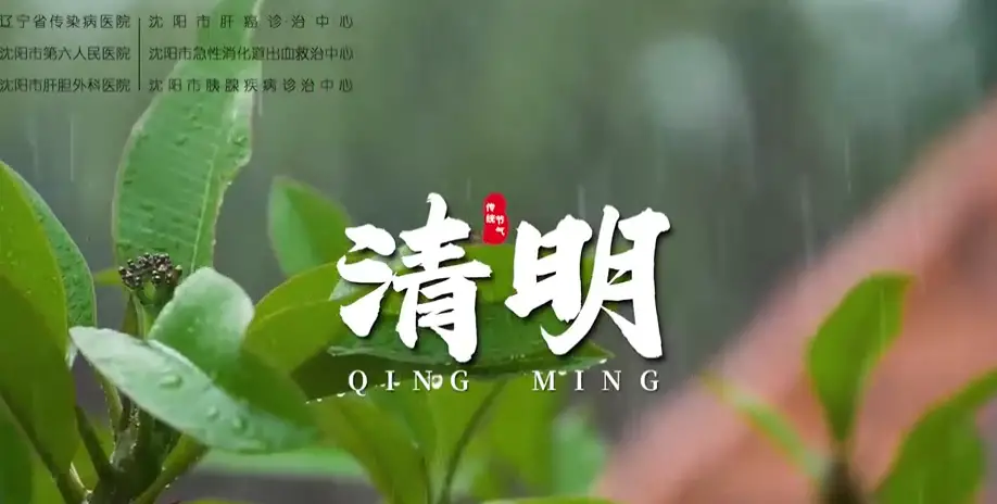 健康知识 | 清明到，护肝黄金期别浪费！