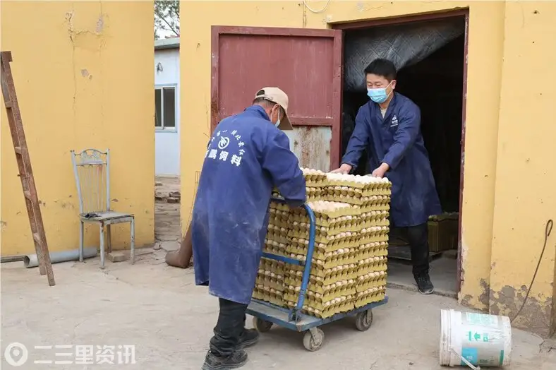 家庭养殖场“小阵地” 撑起增收“大梦想”