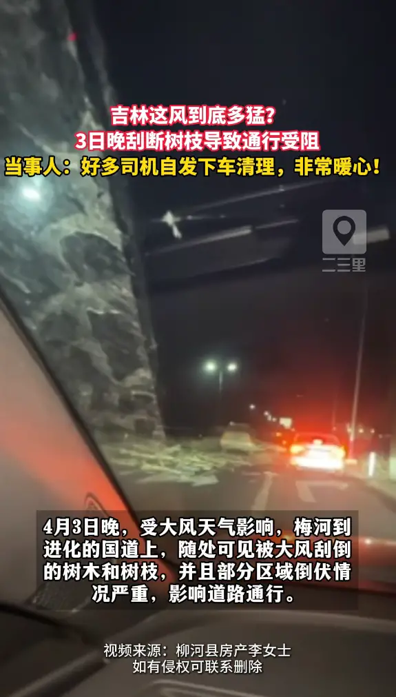 吉林这风到底多猛？把树刮断导致通行受阻，一群陌生司机的操作太暖心！