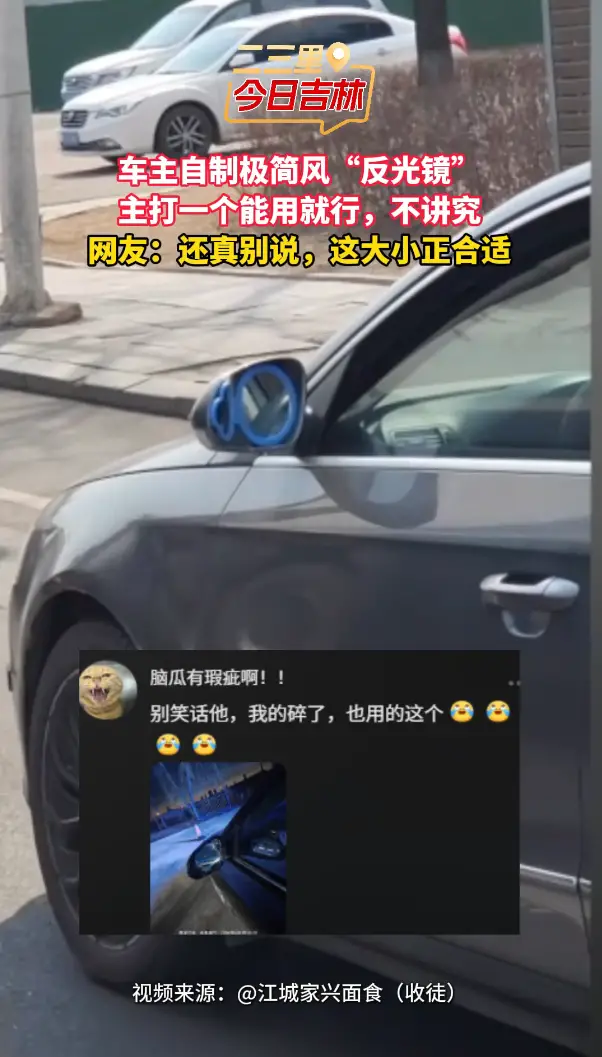 路边偶遇“极简风”反光镜，车主主打一个够用就行