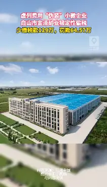 虚列费用伪装小微企业！白山一矿业偷税129万，被罚64.57万