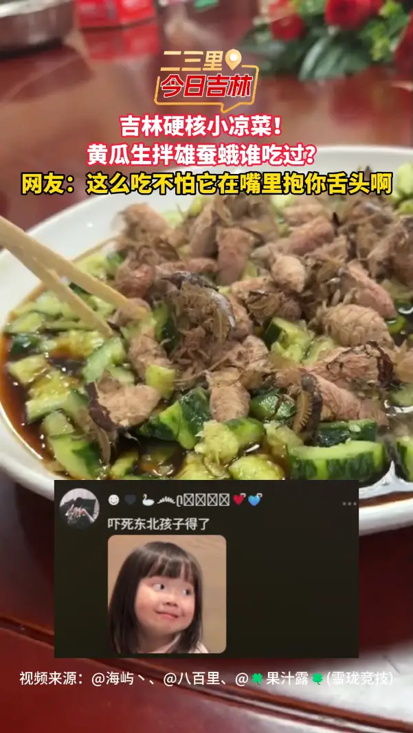 黄瓜生拌雄蚕蛾！这硬核吃法，你敢尝吗？