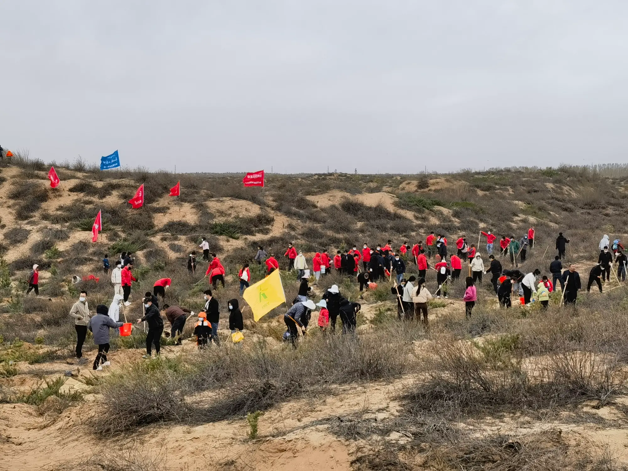 “绿动榆阳”植树活动，还有少量名额，请拨0912-3825363报名