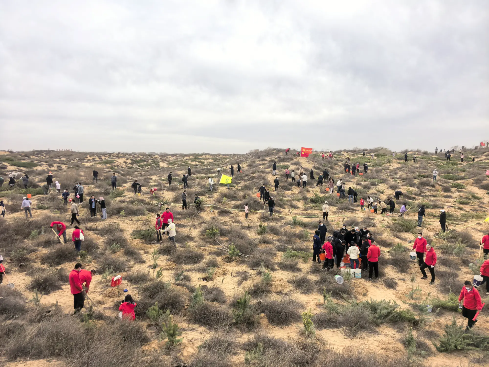 第十五届“绿动榆阳”植树活动4月11日启动，300个家庭名额今起报名