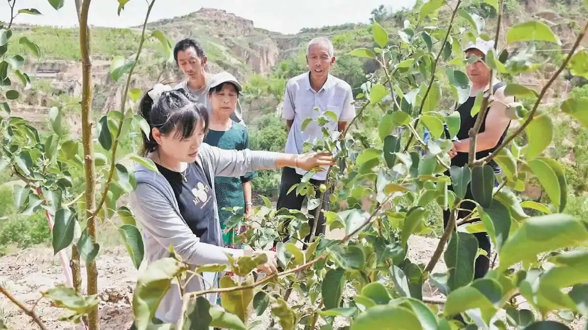 吴堡县以三大维度激活乡村振兴活力——产业筑基 治理提效 环境添彩