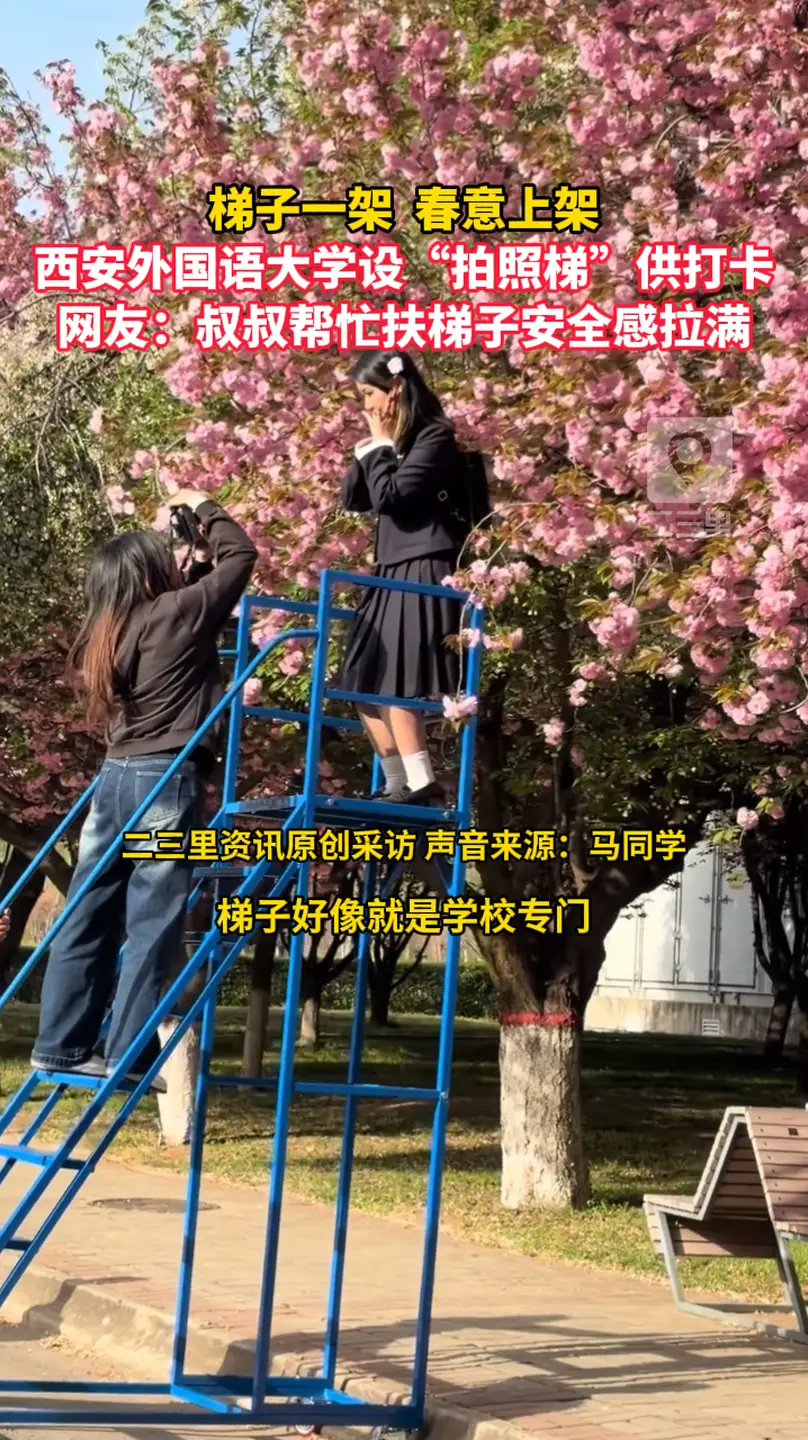 梯子一架  春意上架！