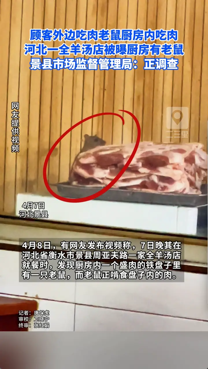  河北一全羊汤店被曝厨房有老鼠 景县市场监督管理局：正调查
