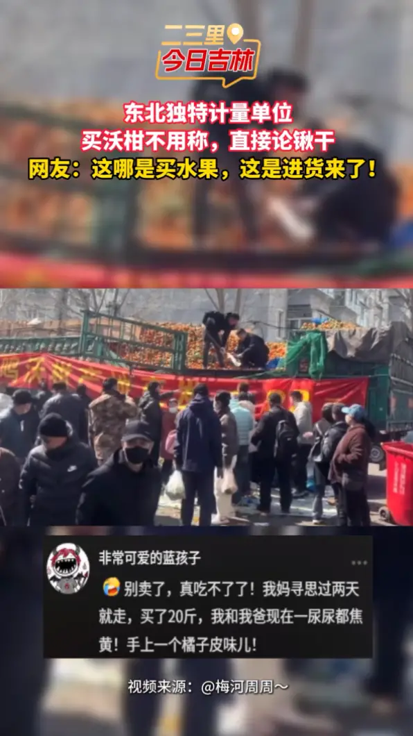 沃柑按锹卖！东北计量单位太豪横了！