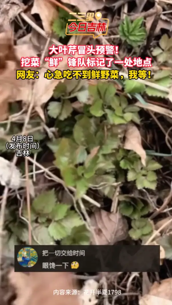 活久见！人类史上首次被恐龙“咬伤”实拍！