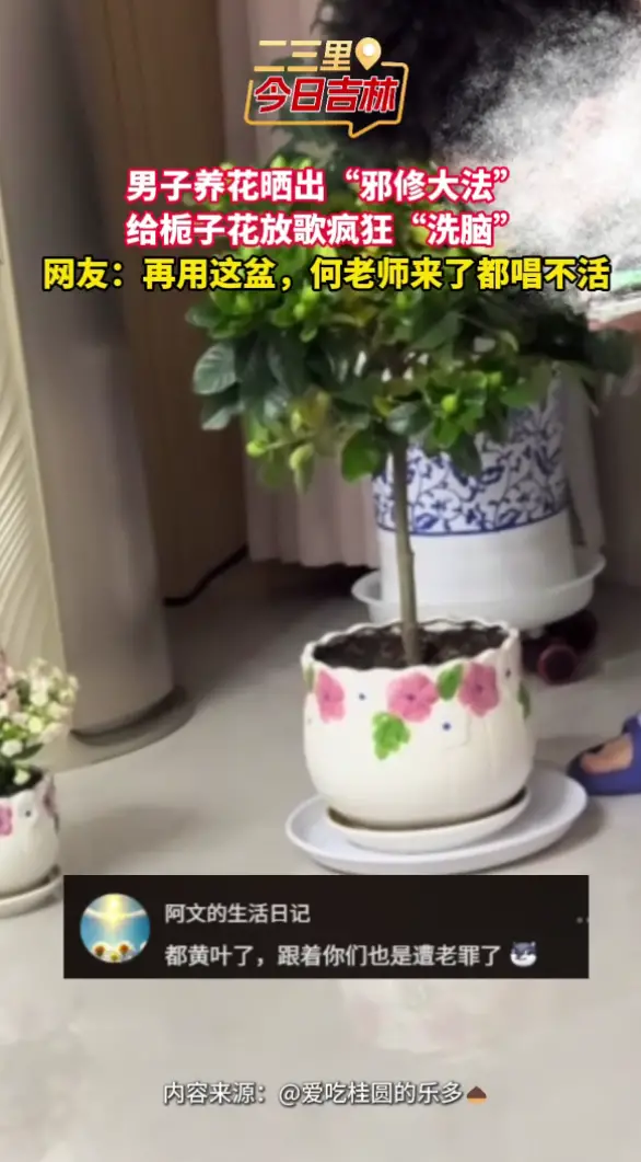 吉林男子“邪修式”养花法，对着花放歌疯狂“洗脑”催开花