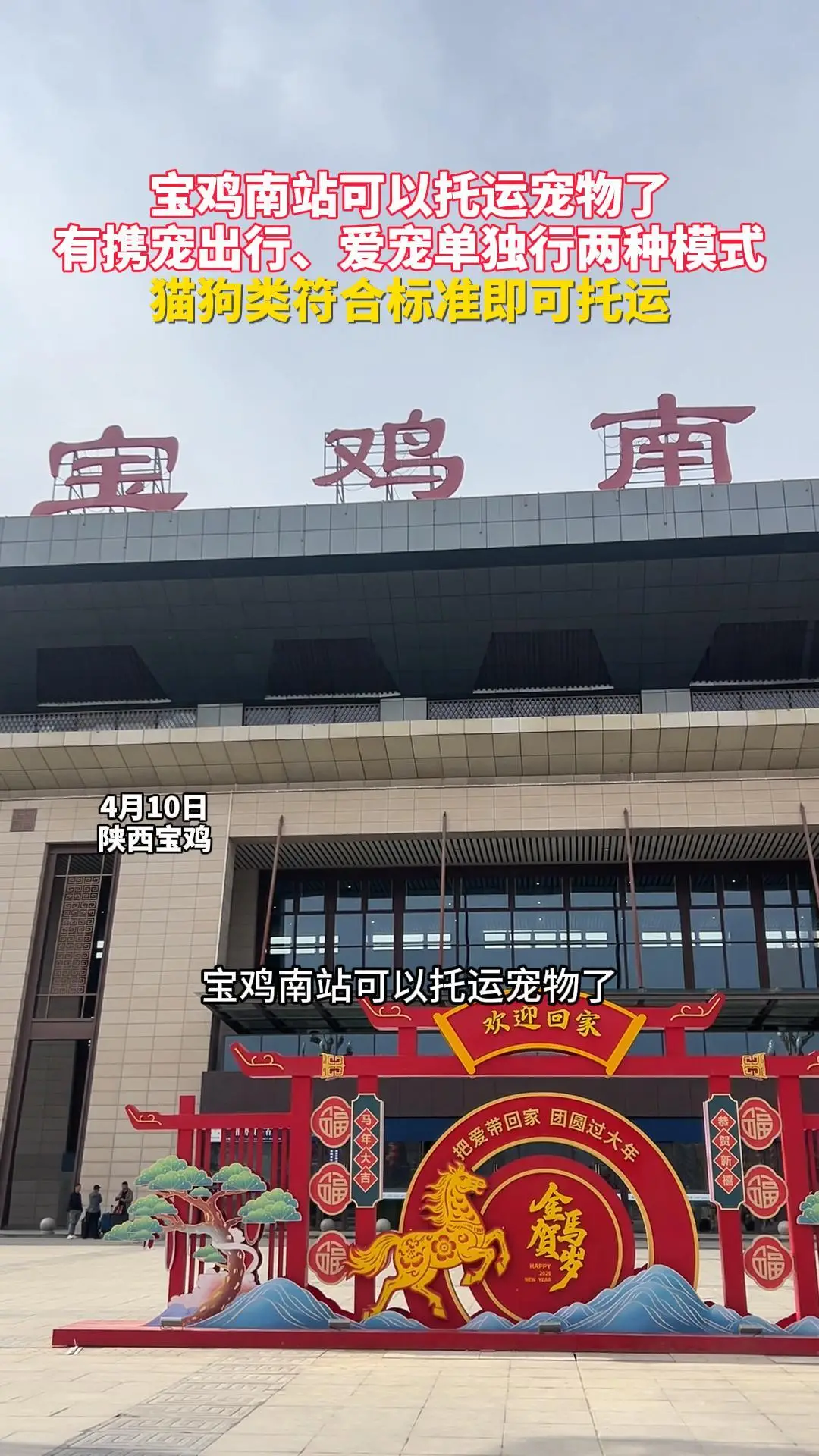宝鸡南站可以托运宠物了 有携宠出行、爱宠单独行两种模式 猫狗类符合标准即可托运