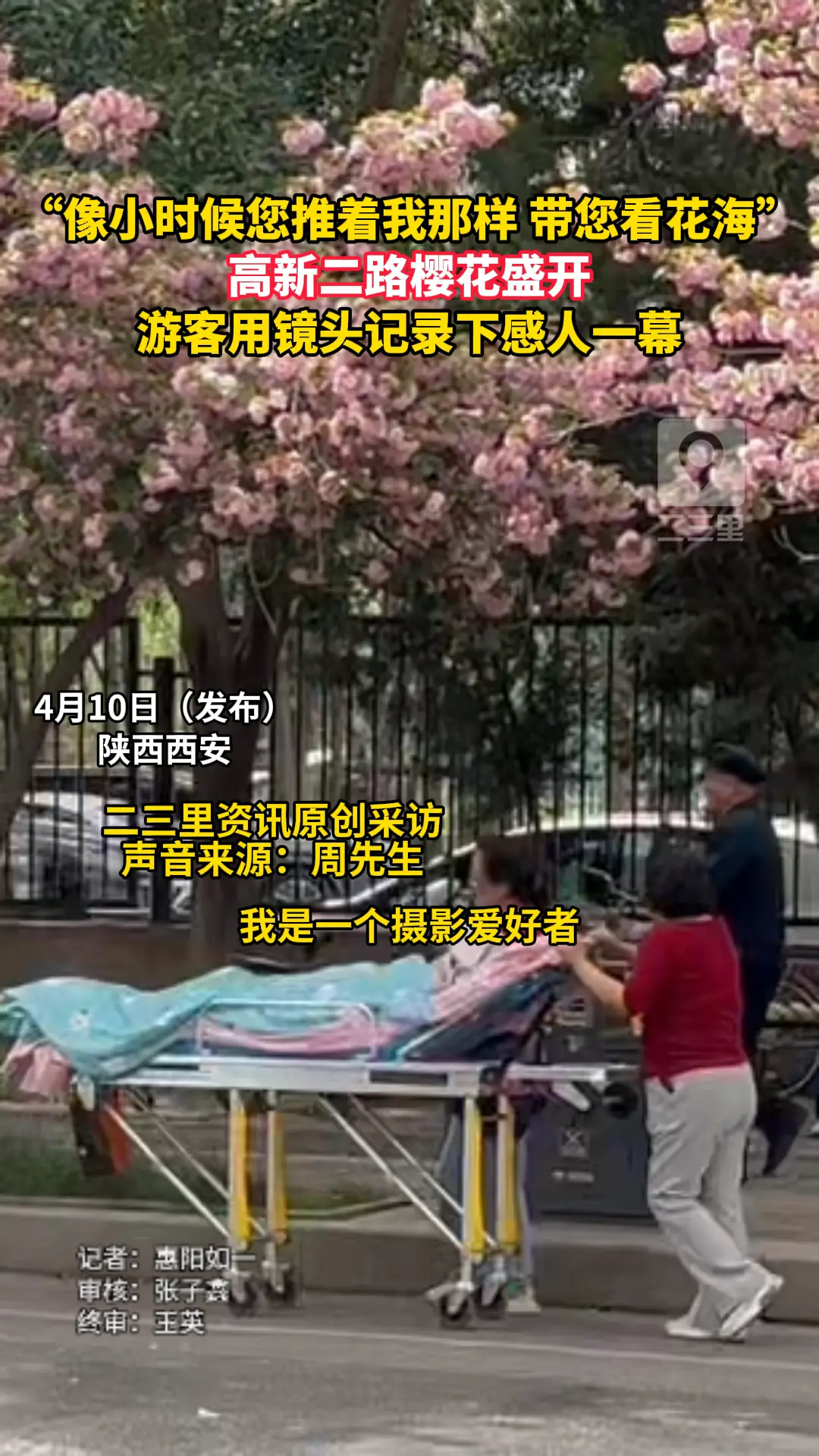 “像小时候您推着我那样 带您看花海”