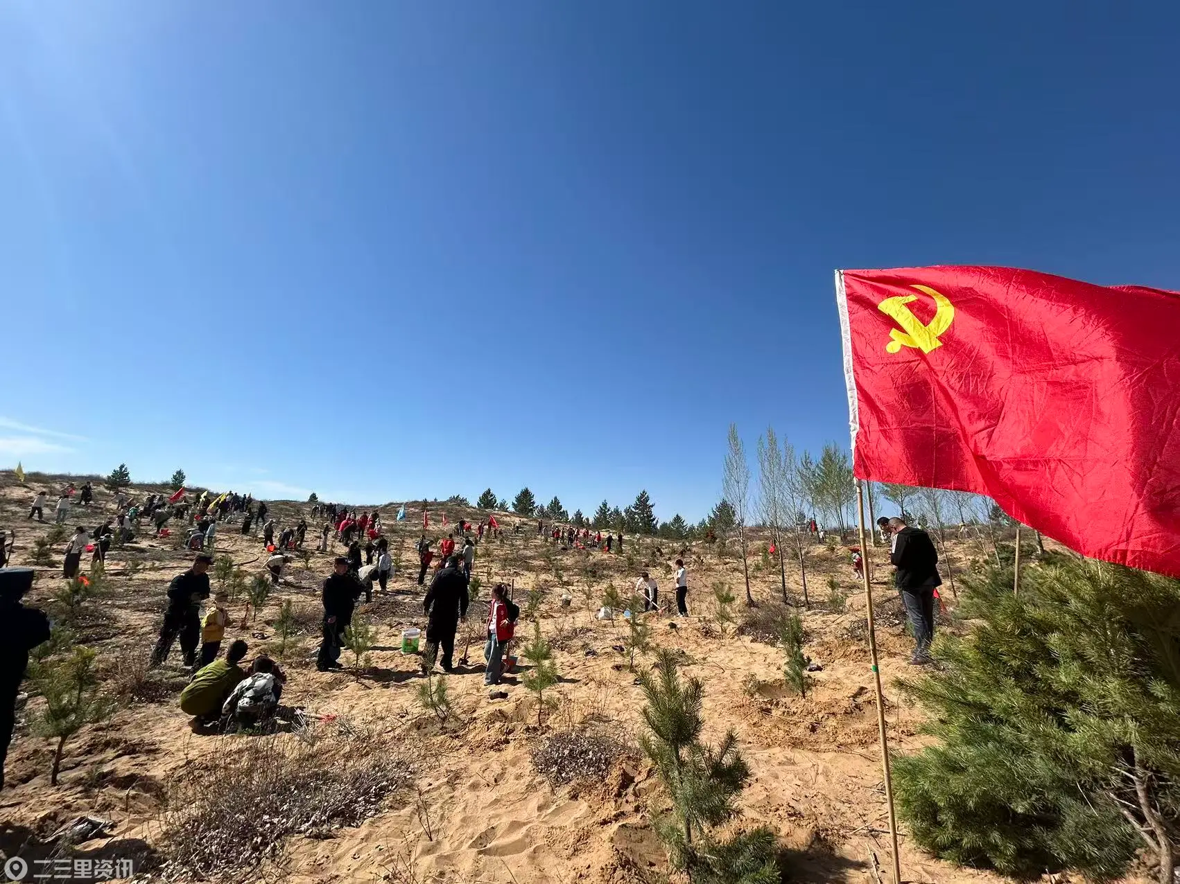 绿锁黄沙富百姓！榆阳绘就生态产业双赢新图景
